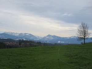 Alpen snow