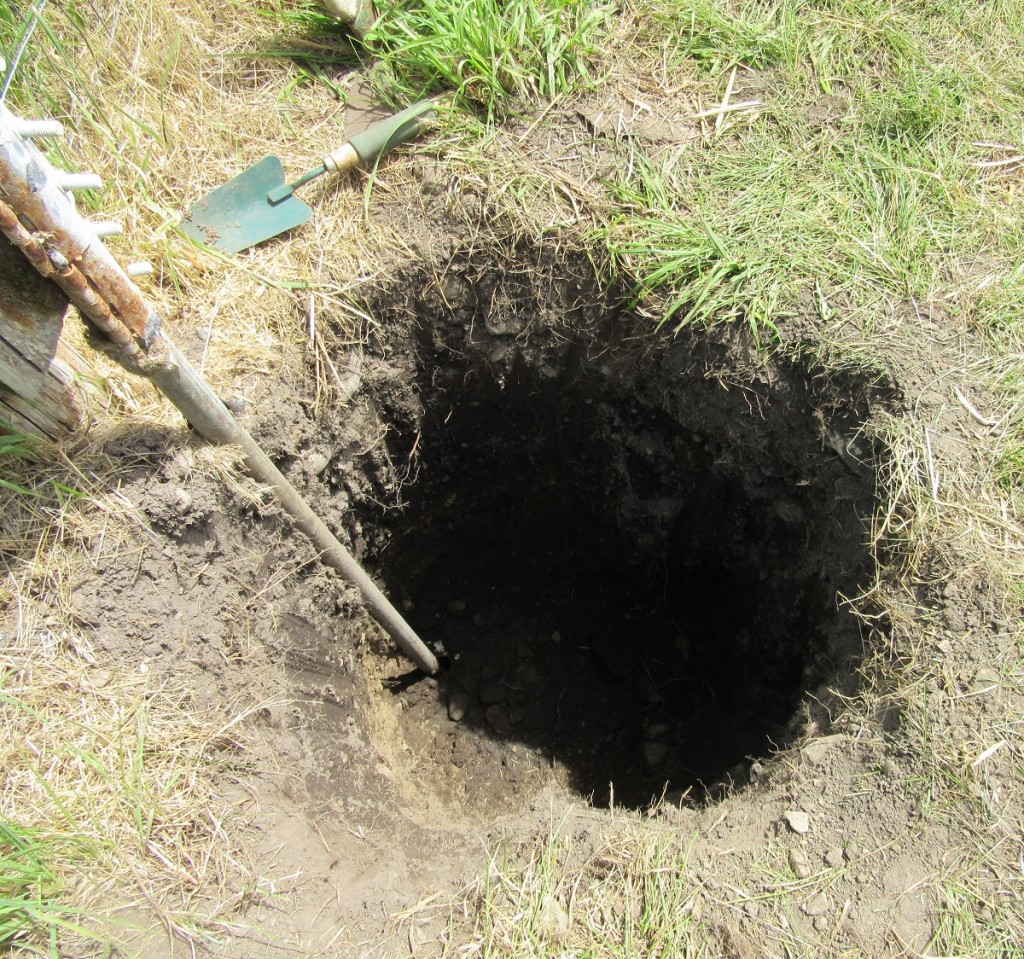Hole digging Orchard