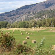 It’s Late Summer in Ferry County